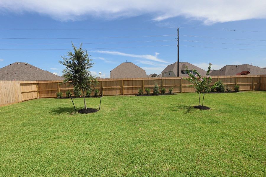 Lush landscaping in the backyard - still under construction! Lush landscaping in the backyard - still under construction!