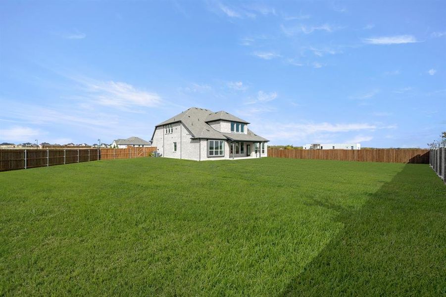 764 Texas Thistle- Back-1 764 Texas Thistle- Back-1