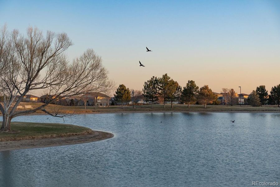 Natural landscape and outdoor views near  in Commerce City (Image 16).