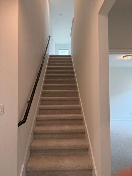 Carpeted staircase with a dark-finish handrail and crisp white risers