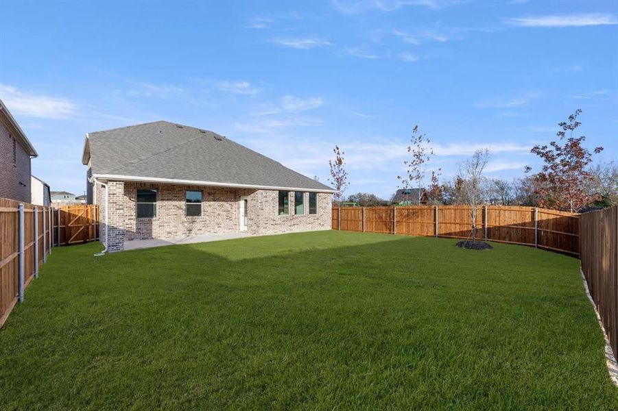 Rear Exterior Design