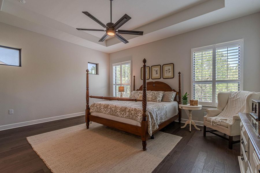 Bedroom featuring dark wood-style flooring, a ceiling fan, and a tray ceiling