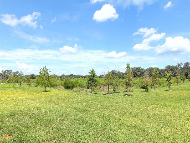 Natural landscape and outdoor views near Farm at Varrea Villas in Plant City (Image 21).