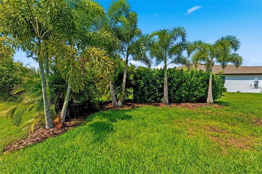 Natural landscape and outdoor views near in Parrish (Image 56). Natural landscape and outdoor views near in Parrish (Image 56).