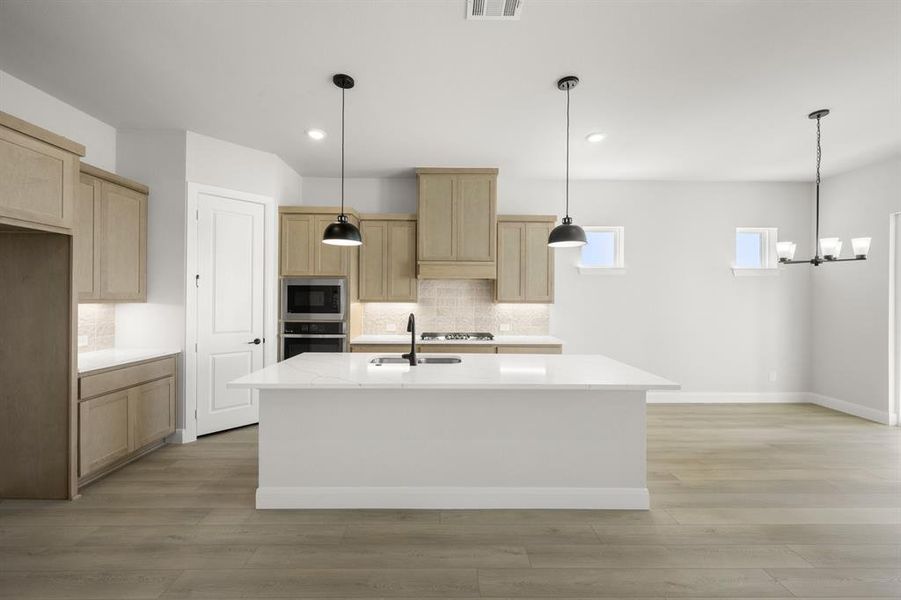 16953 Leatherflower- Kitchen-2