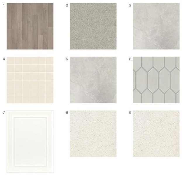 1820 Alexander Village Main Drive - Design Selections - This home is currently under construction - selections are subject to change