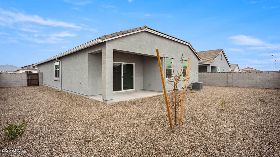 Mockingbird-Estrella Vista-3730-Buckeye-