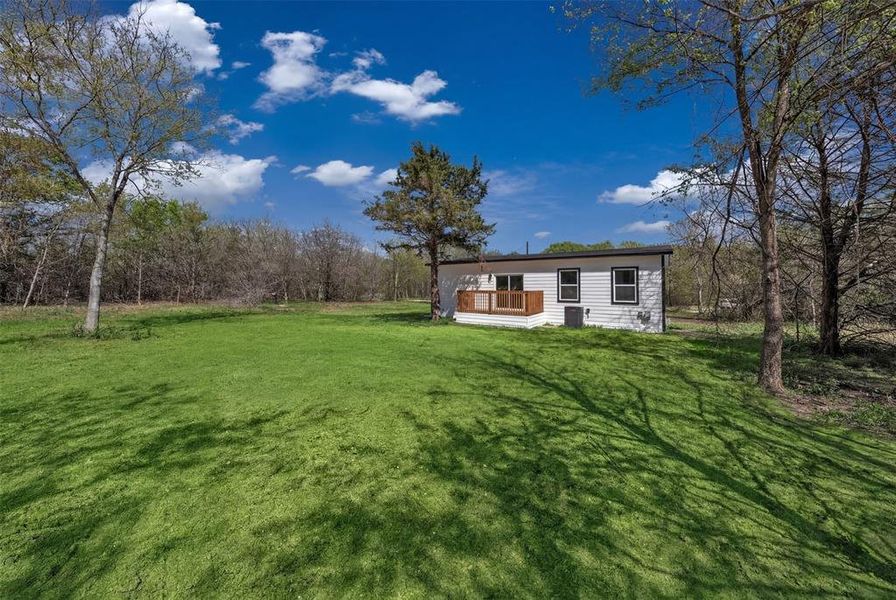 grass virtually added grass virtually added