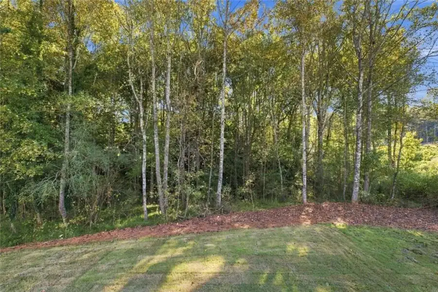 Natural landscape and outdoor views near in Gainesville (Image 56). Natural landscape and outdoor views near in Gainesville (Image 56).