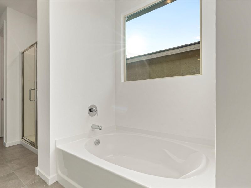 Onyx Virtually Staged Bathroom