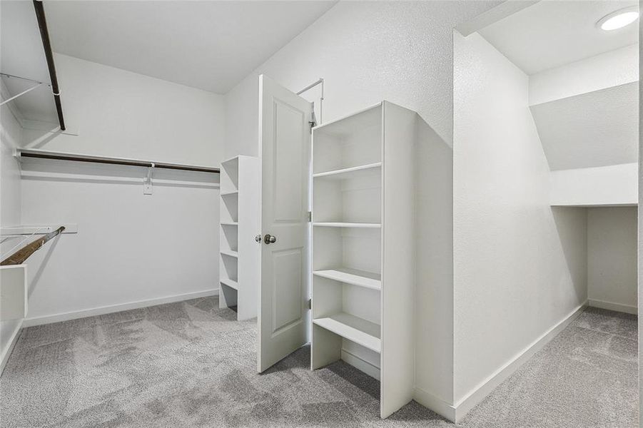 Spacious closet with carpet