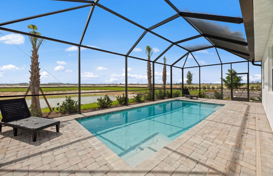 Screened-in pool Screened-in pool