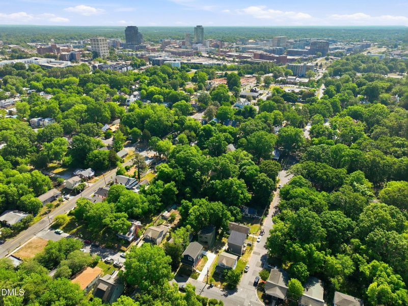 12-web-or-mls-DJI_0913 12-web-or-mls-DJI_0913