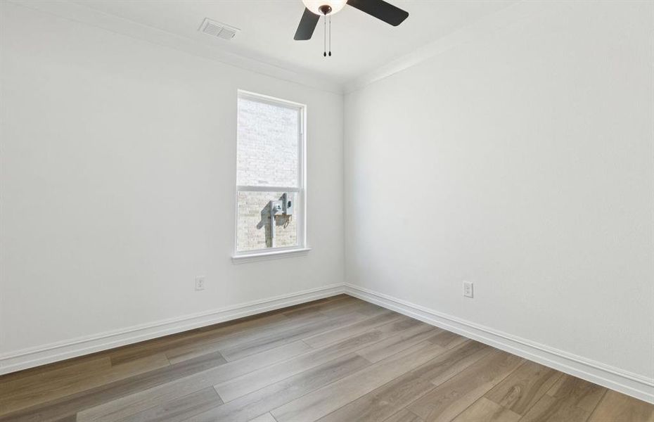 Study off entry Study off entry