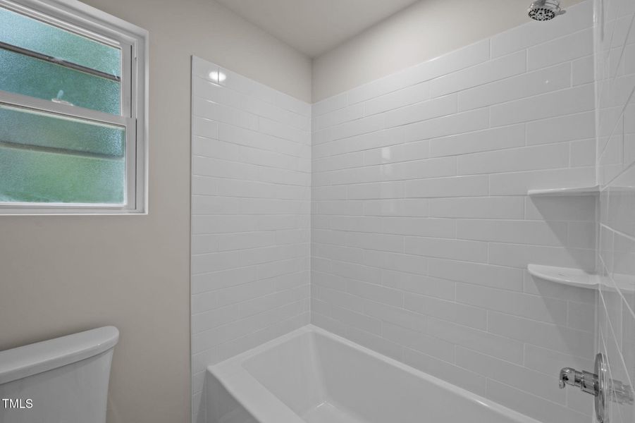18-web-or-mls-P1078572