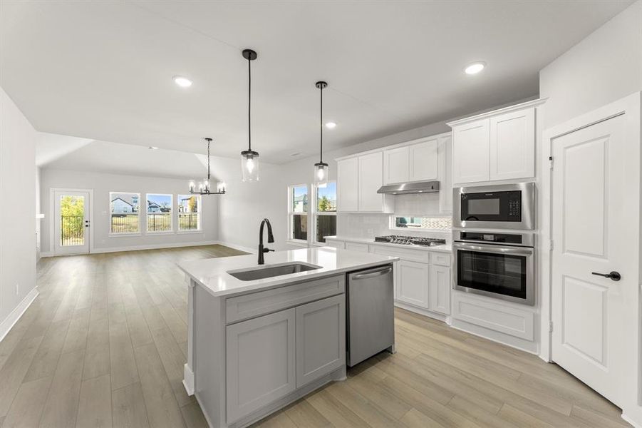 10_12. 1117 Flamingo - Family