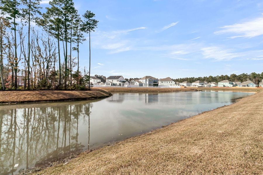 Natural landscape and outdoor views near Cherrywood Estates in Summerville (Image 60).