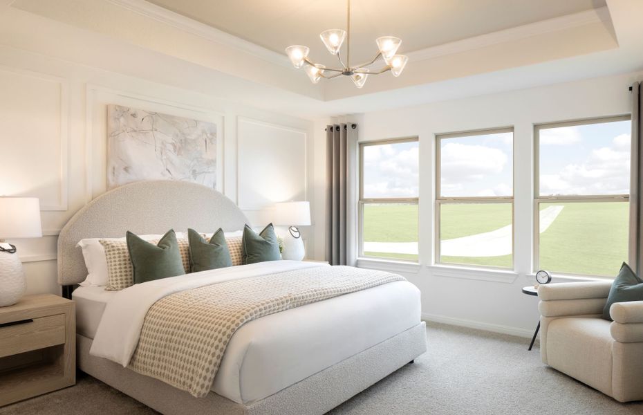 Owner's Bedroom with Tray Ceilings