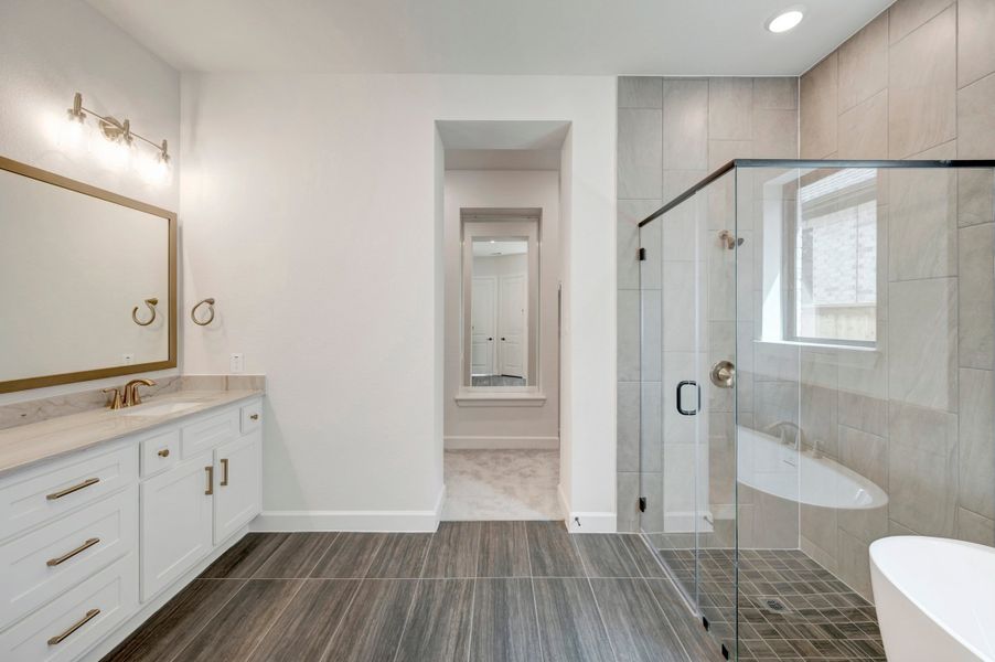 Owner's Bath