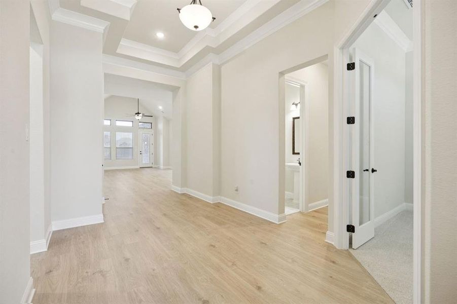 3-1016Sunflower_003 3-1016Sunflower_003