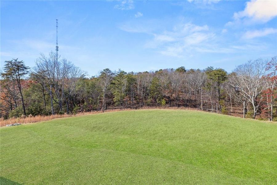 Natural landscape and outdoor views near Horizon at Laurel Canyon in Canton (Image 58).