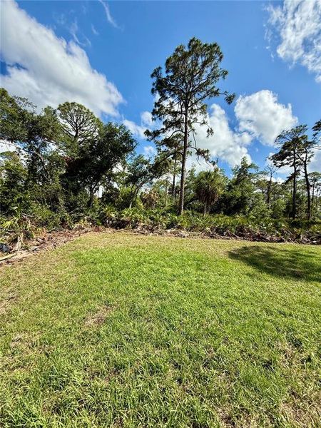 Natural landscape and outdoor views near  in Port Charlotte (Image 35).