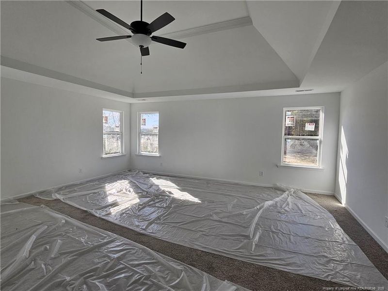 Pictures are a likeness