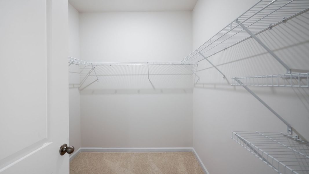 Spacious, unfurnished interior of a new home in Forest Creek, Winston-Salem (Image 26).