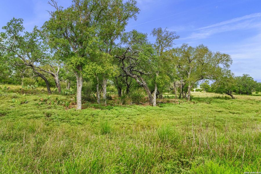 Natural landscape and outdoor views near in Fredericksburg (Image 5). Natural landscape and outdoor views near in Fredericksburg (Image 5).