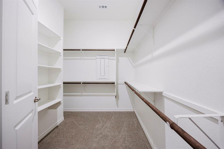 Walk in closet featuring carpet floors