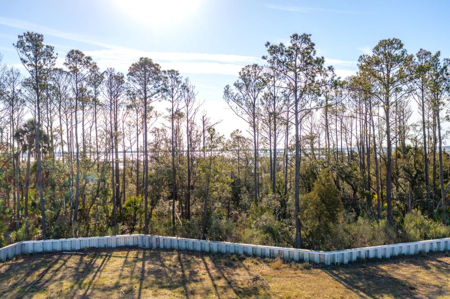 Natural landscape and outdoor views near Liberty Hill Farm in Mount Pleasant (Image 36).