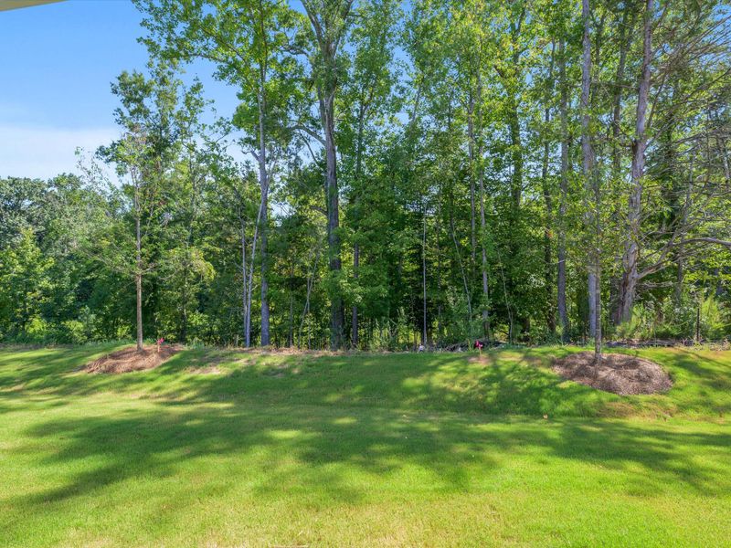Natural landscape and outdoor views near Westview Towns in Waxhaw (Image 35).