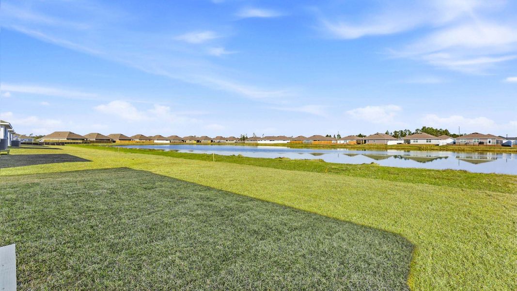 Natural landscape and outdoor views near Hodges Bayou Plantation in Panama City (Image 29).
