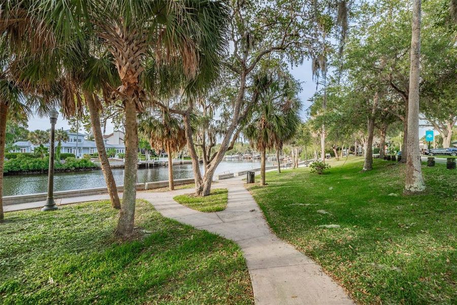 Natural landscape and outdoor views near  in New Port Richey (Image 38).
