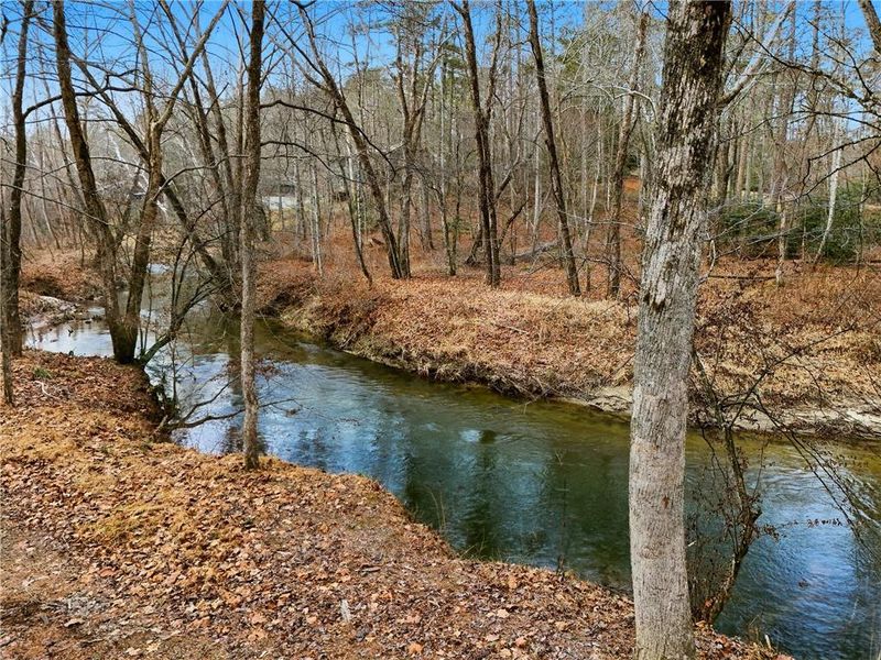 Natural landscape and outdoor views near  in Blue Ridge (Image 61).