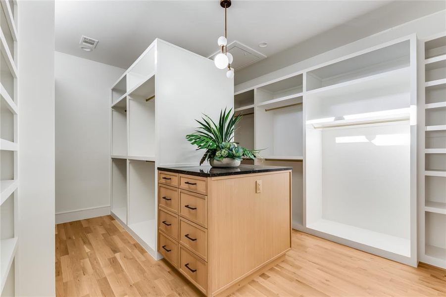 Spacious closet featuring light hardwood / wood-style flooring