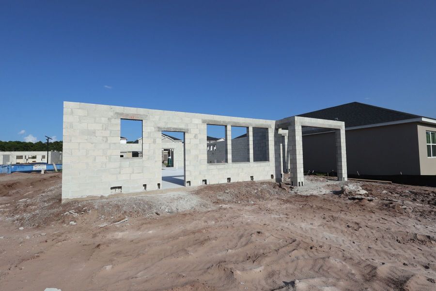 Back Exterior