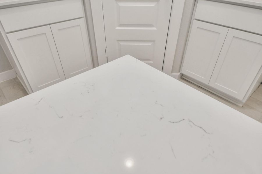 Take a closer look at the stunning details of this granite countertop.