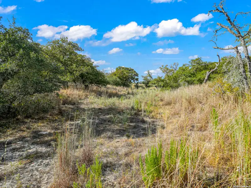 Natural landscape and outdoor views near  in Seguin (Image 26).