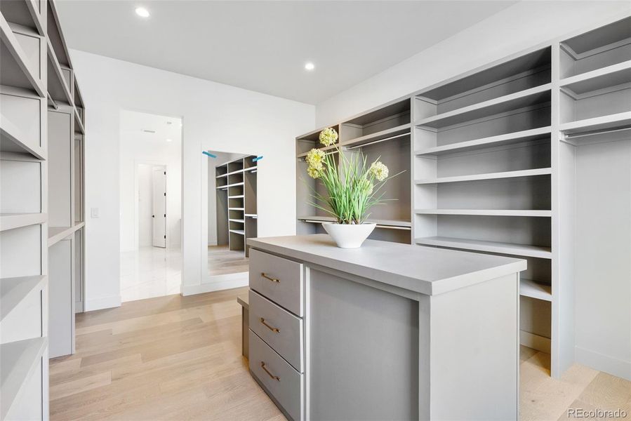 Luxurious primary closet with built-ins