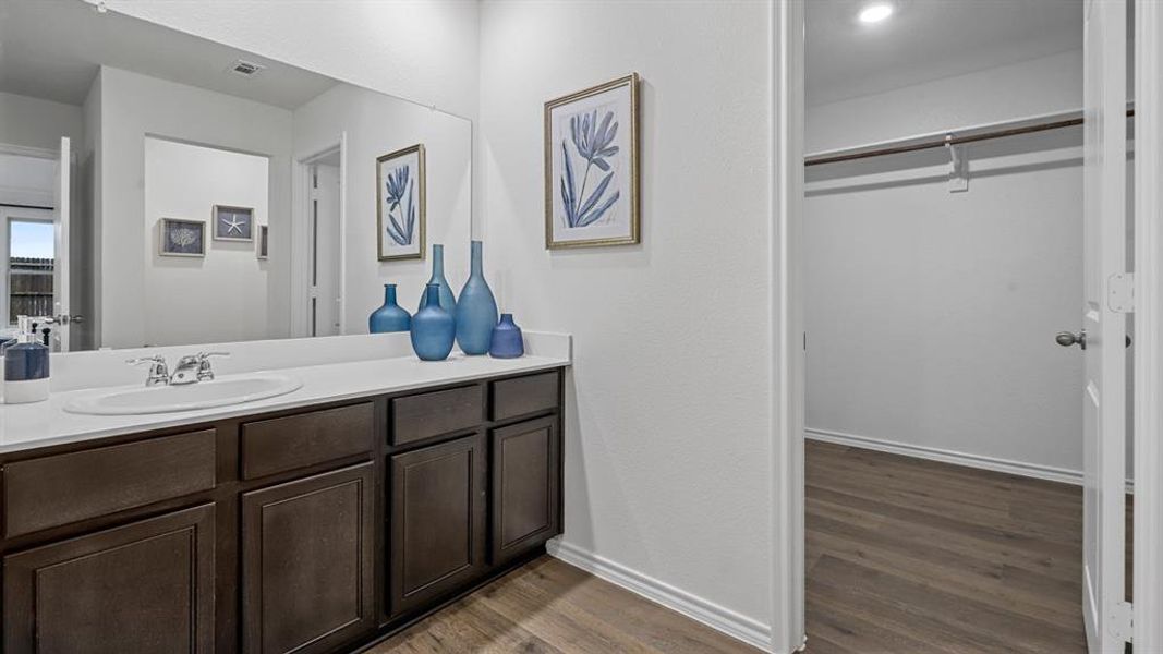 Bathroom featuring vanity, dark wood-style flooring, and a walk in closet Bathroom featuring vanity, dark wood-style flooring, and a walk in closet