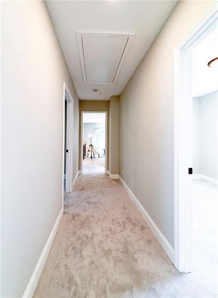 Spacious, unfurnished interior of a new home in , Monticello (Image 23).