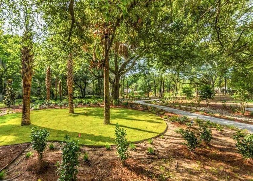 Natural landscape and outdoor views near  in Mount Pleasant (Image 6).