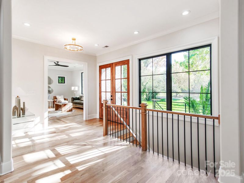 So Much Natural Light