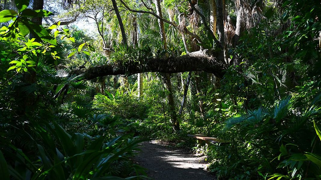 Natural landscape and outdoor views near Veranda Oaks in Port St. Lucie (Image 83).