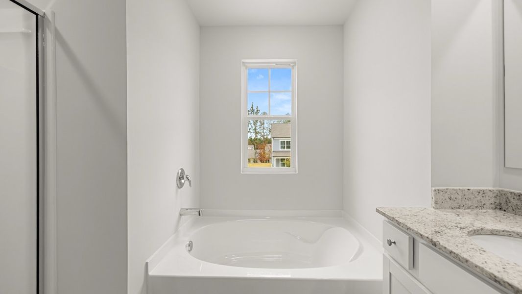 Representative interior finishes for a home built from the Hayden by D.R. Horton in Liberty Crossing, Braselton (Image 11).