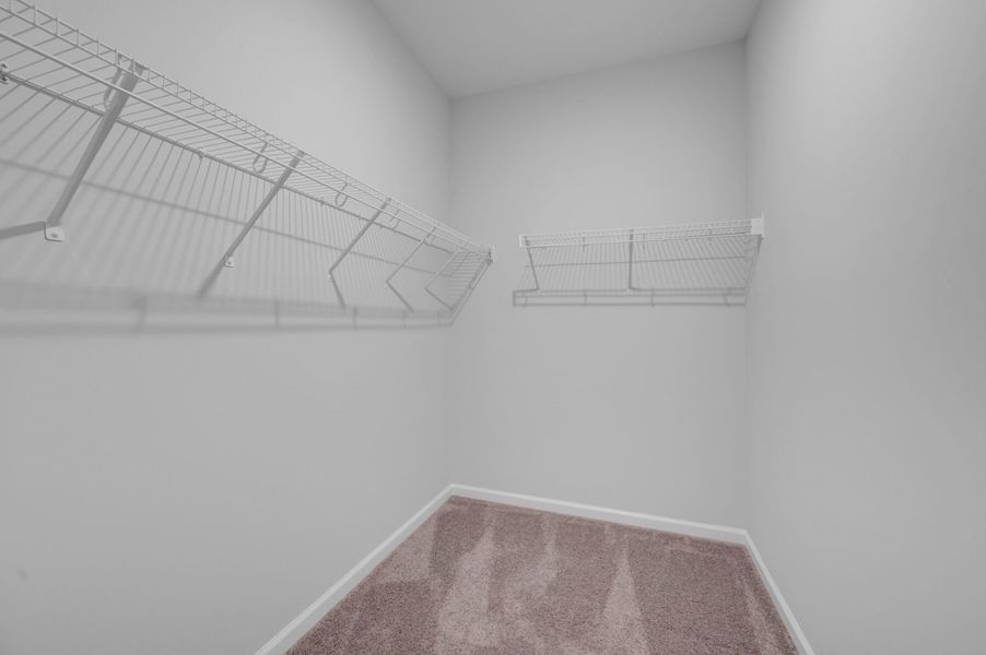 Owner's Closet