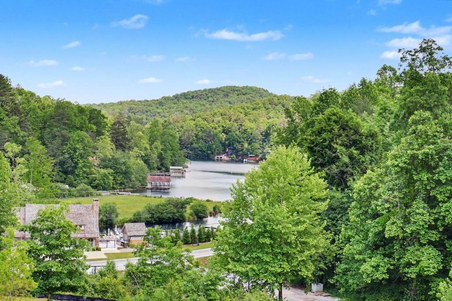 Natural landscape and outdoor views near  in Clarkesville (Image 36).