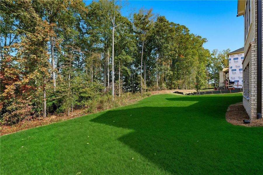 Natural landscape and outdoor views near  in Cumming (Image 72).