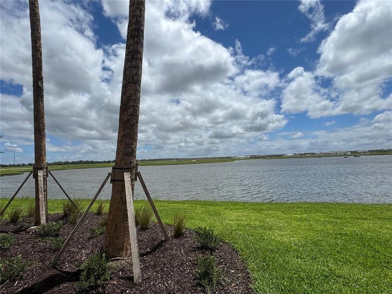 Natural landscape and outdoor views near  in Bradenton (Image 15).